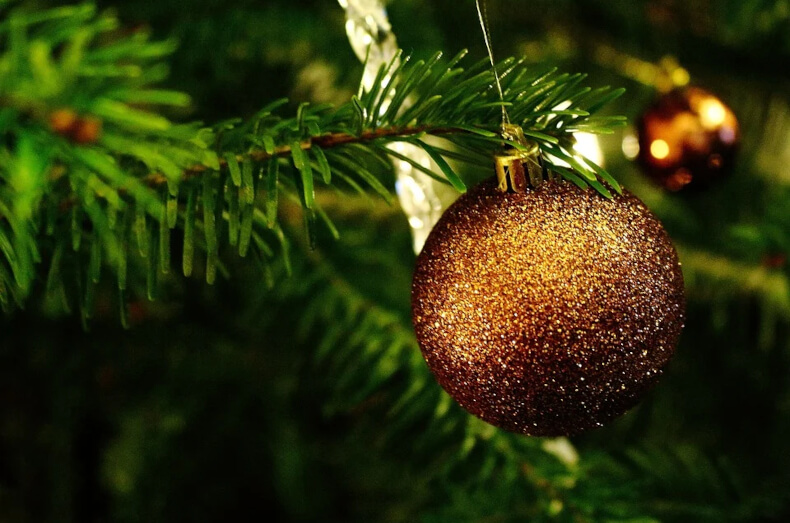 Weihnachtsbaum pflegen: Mit diesen Tipps hält der Baum länger