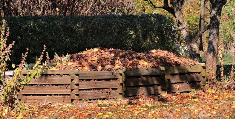 Herbstlaub auf dem Kompost