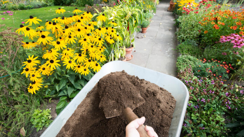 Garten umgraben: Wie pflegt man Beete richtig?